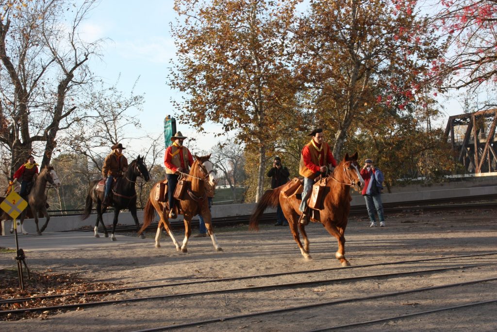 Three horses on the trail. 