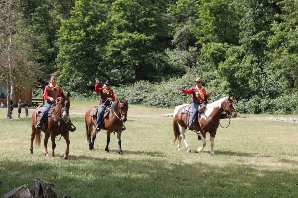 three riders on their horses in a green field