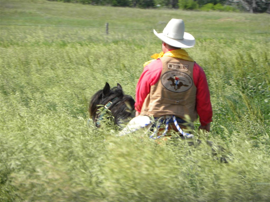 Wyoming Rider in Tall Grass