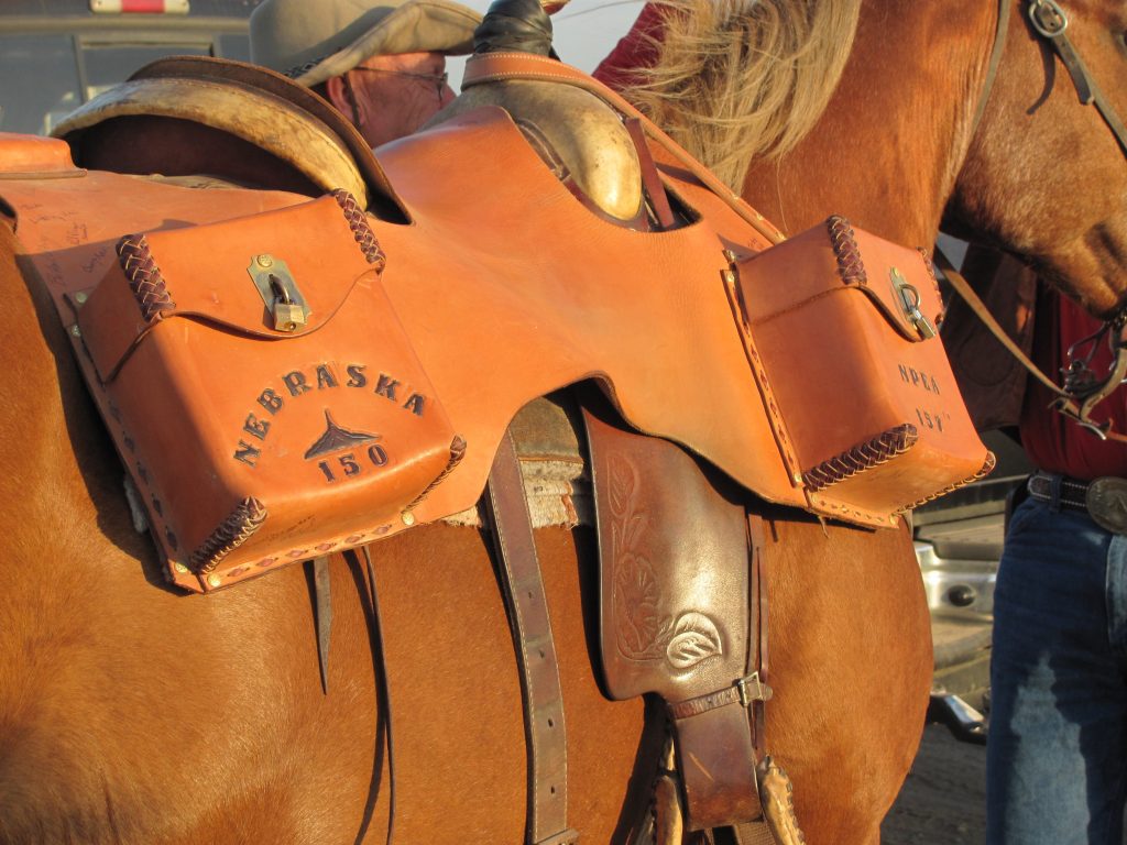 close up of Nebraska mochilla harness letter carrier on a horse